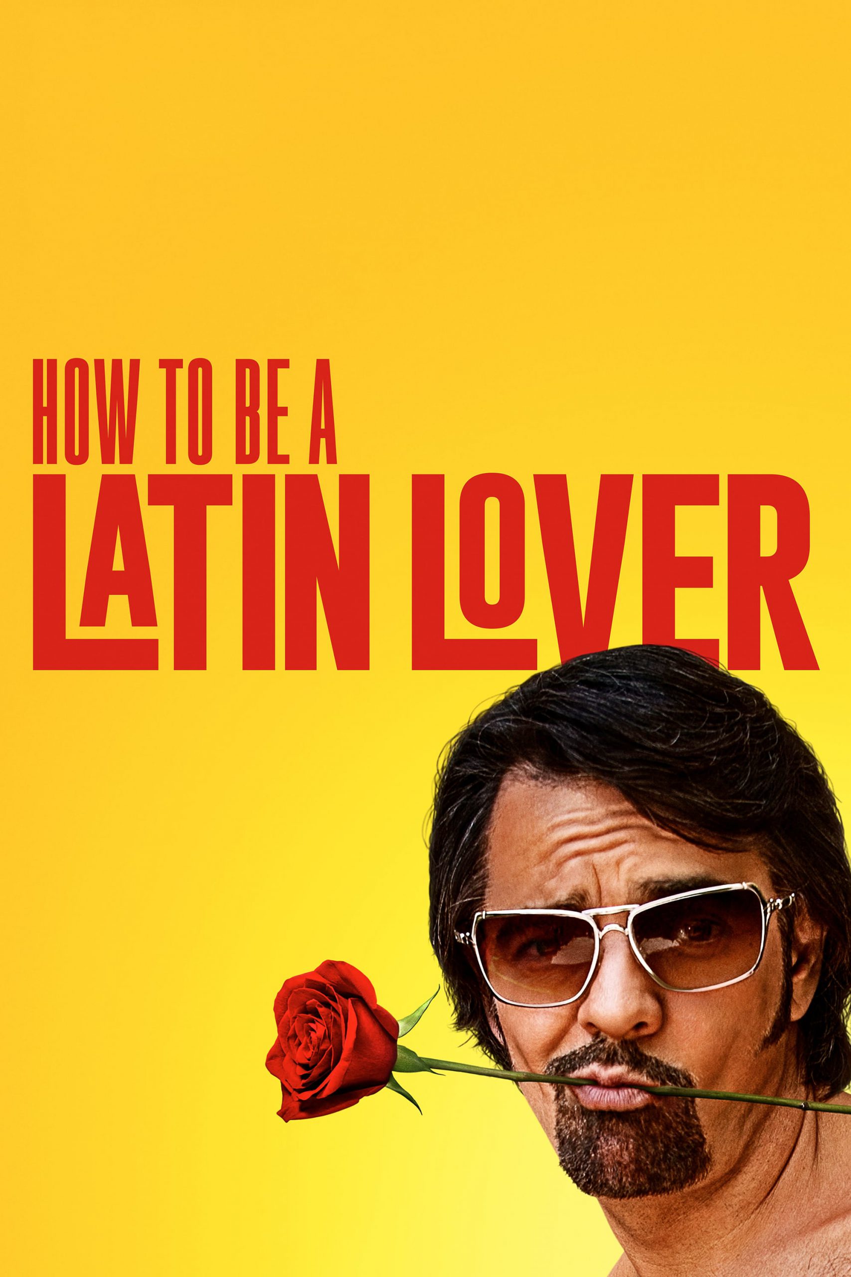 Poster for How To Be A Latin Lover
