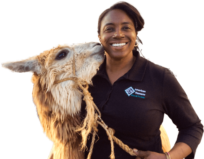 Humane Hollywood Volunteer